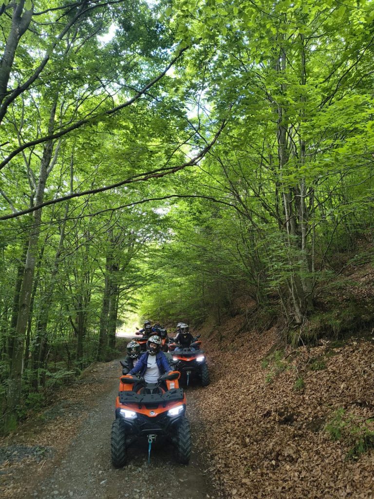 Plimbare cu ATV prin padure